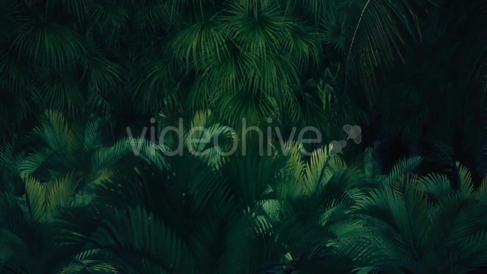 The Palms 8 - Download Videohive 19366729