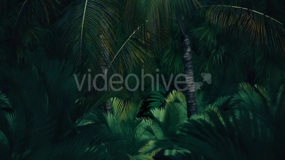 The Palms 8 - Download Videohive 19366729