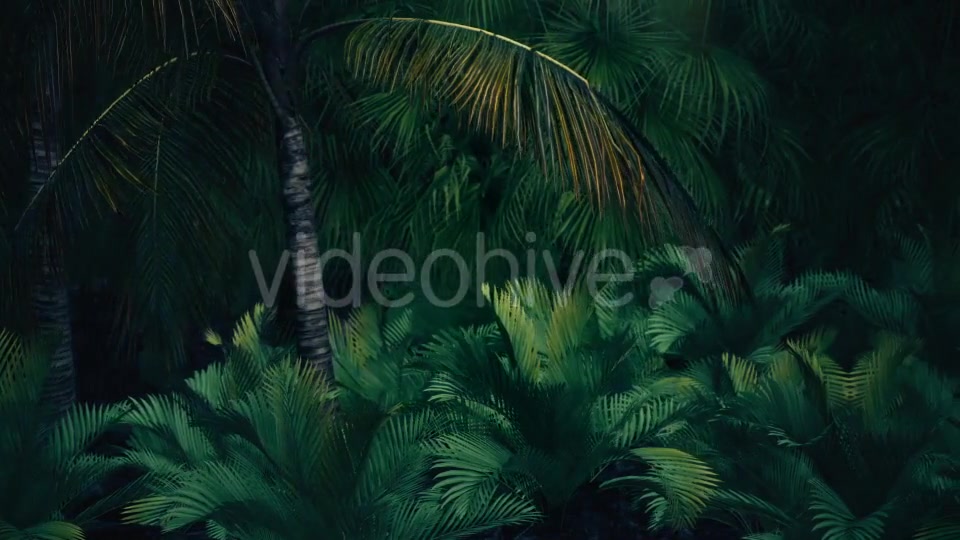 The Palms 8 - Download Videohive 19366729