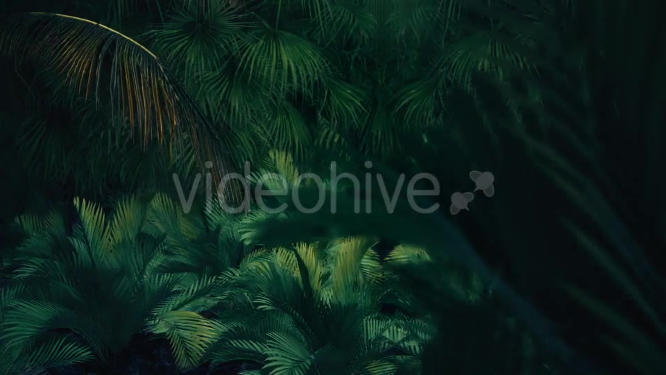 The Palms 8 - Download Videohive 19366729