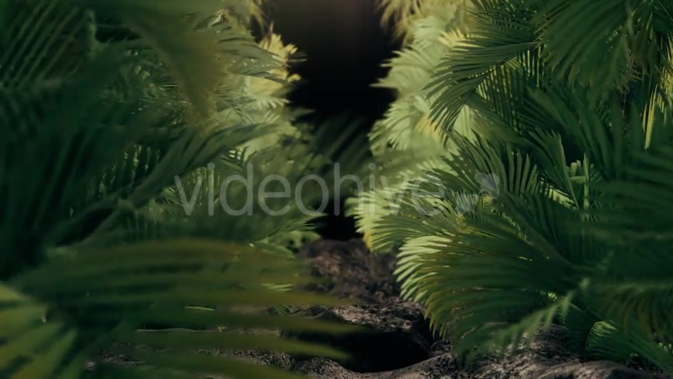 The Palms - Download Videohive 19269505