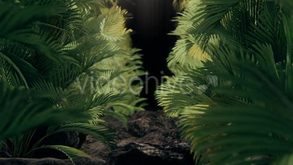 The Palms - Download Videohive 19269505