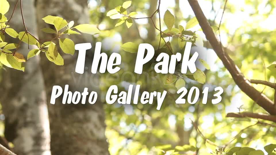 The Park Photo Gallery - Download Videohive 4862404