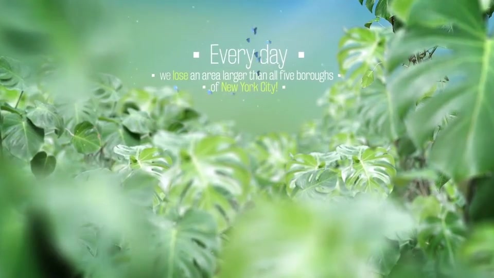 The Rainforests Titles - Download Videohive 10520395