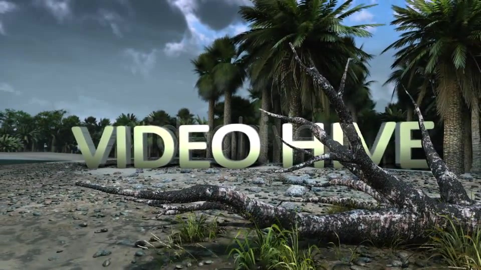 The Sea Shore - Download Videohive 3401158