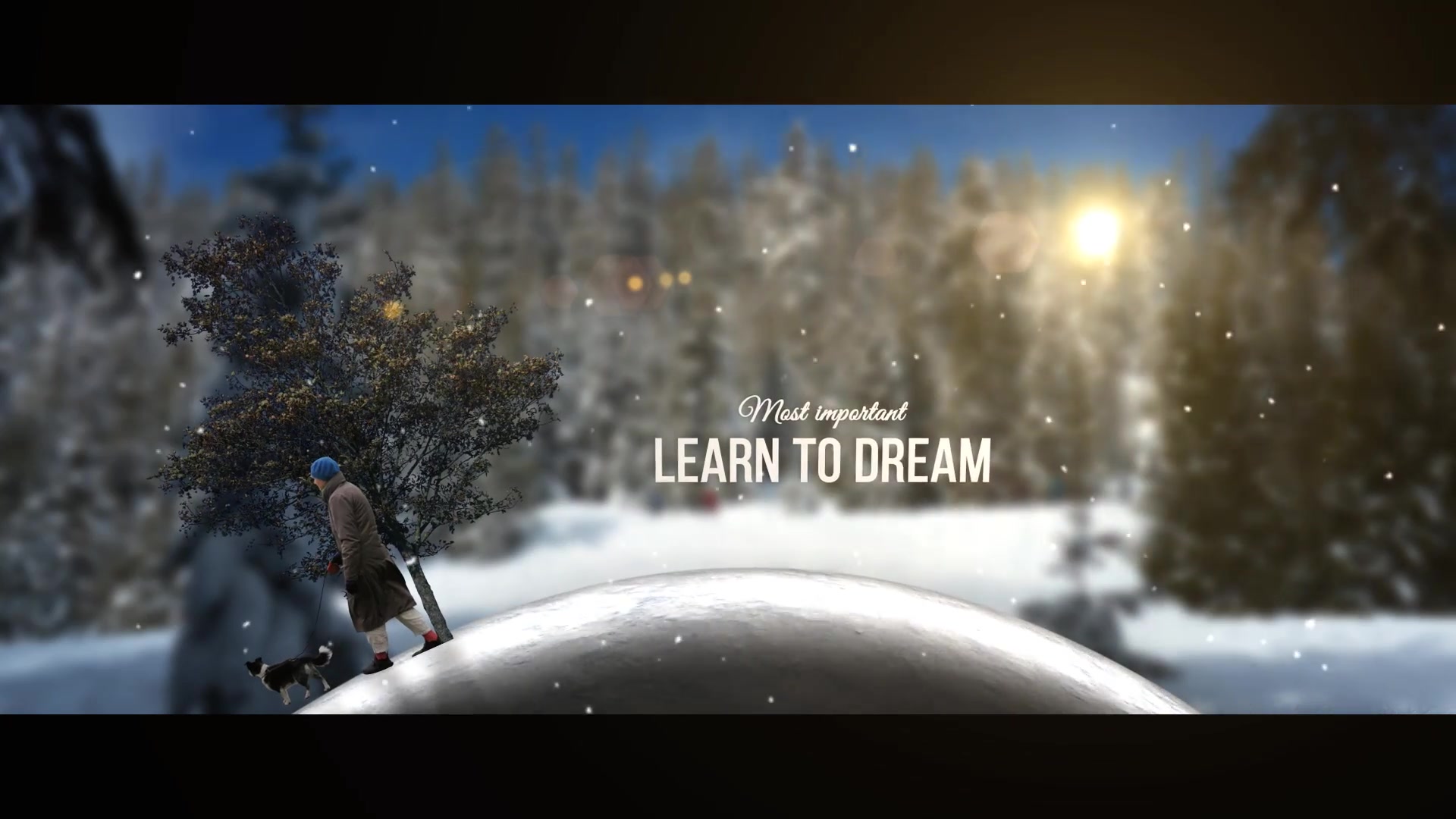 The Season of Life - Download Videohive 18437762