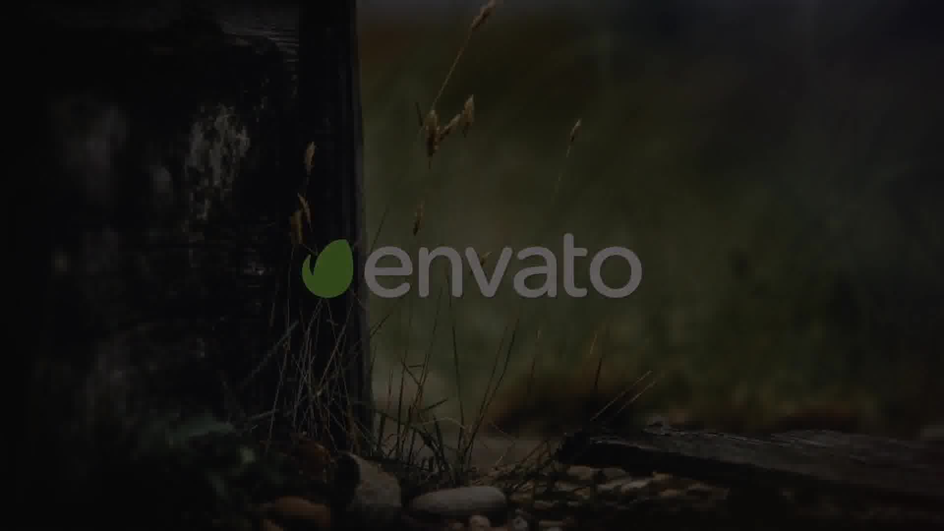 The Slideshow - Download Videohive 20794122