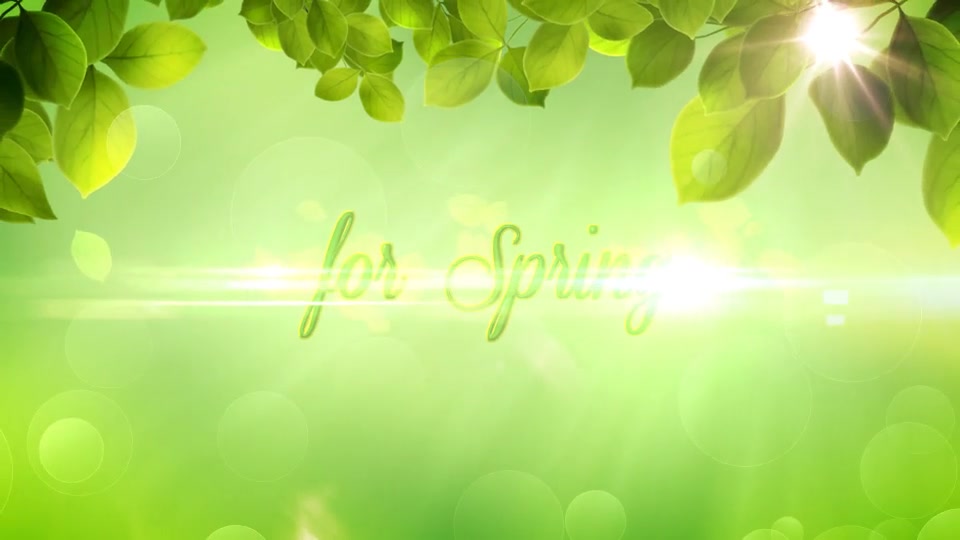 The Spring Special Promo Pack Apple Motion - Download Videohive 10856198