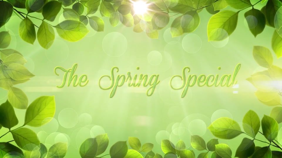 The Spring Special Promo Pack Apple Motion - Download Videohive 10856198