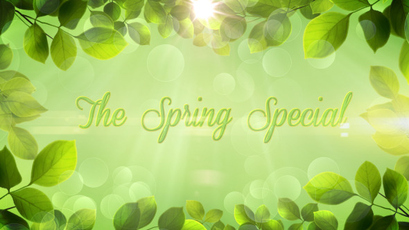 The Spring Special Promo Pack Apple Motion - Download Videohive 10856198