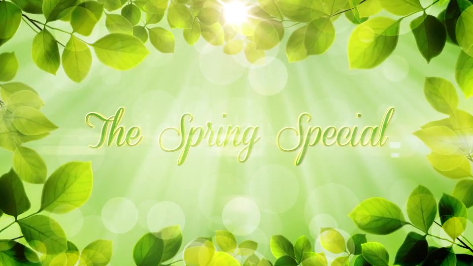The Spring Special Promo Pack - Download Videohive 4437773