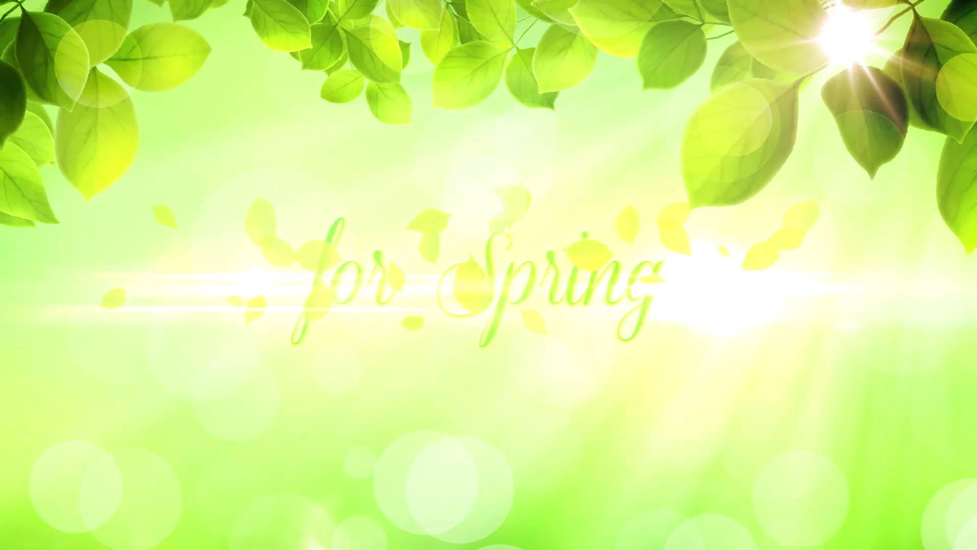 The Spring Special Promo Pack Premiere Pro Videohive 26322422 Premiere Pro Image 3