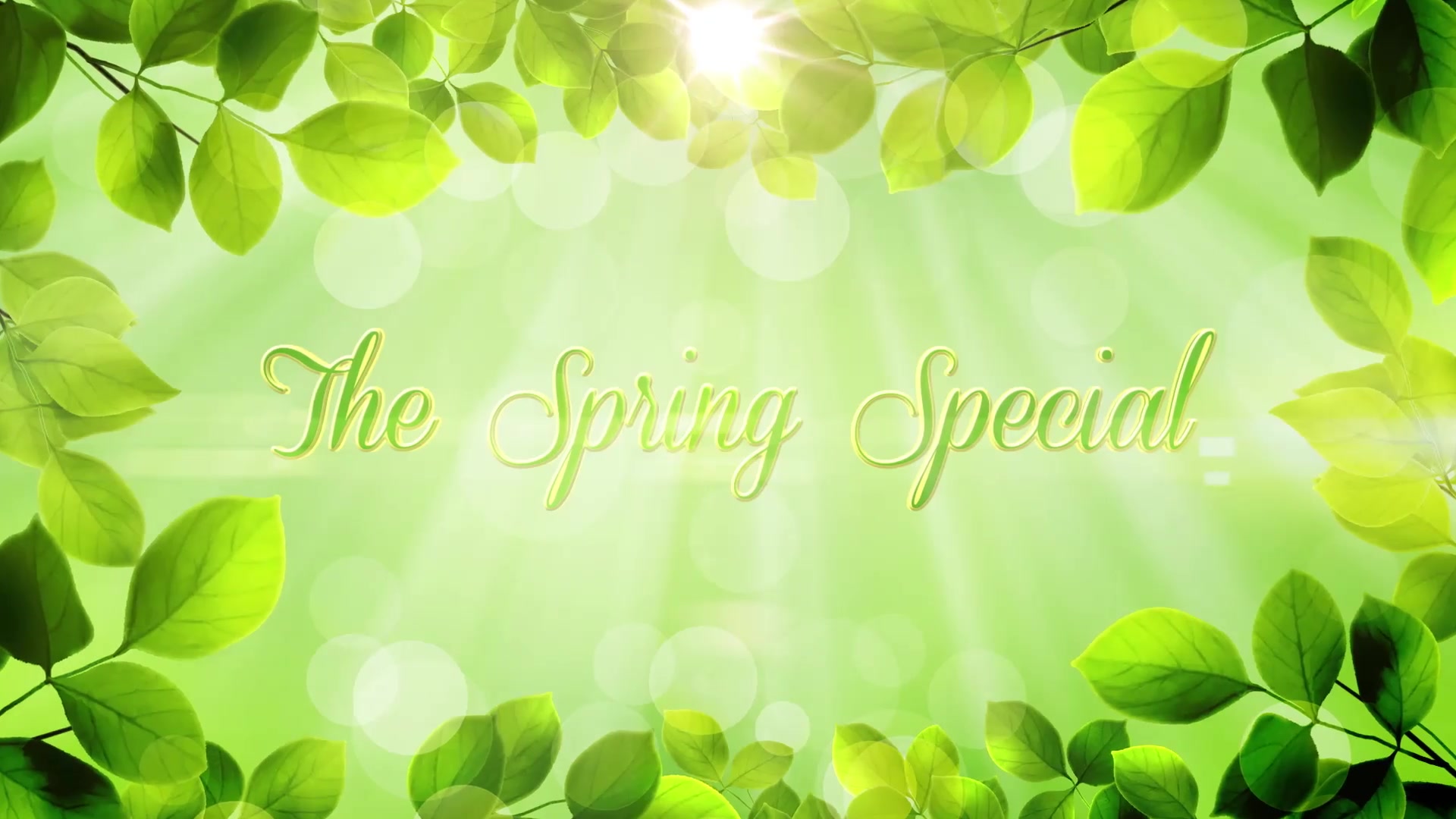 The Spring Special Promo Pack Premiere Pro Videohive 26322422 Premiere Pro Image 4