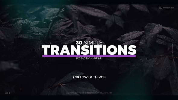 The Transitions - Videohive 20905573 Download