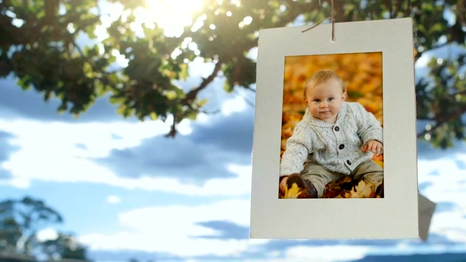 The Tree of Life Photo Gallery Videohive 18355425 After Effects Image 3