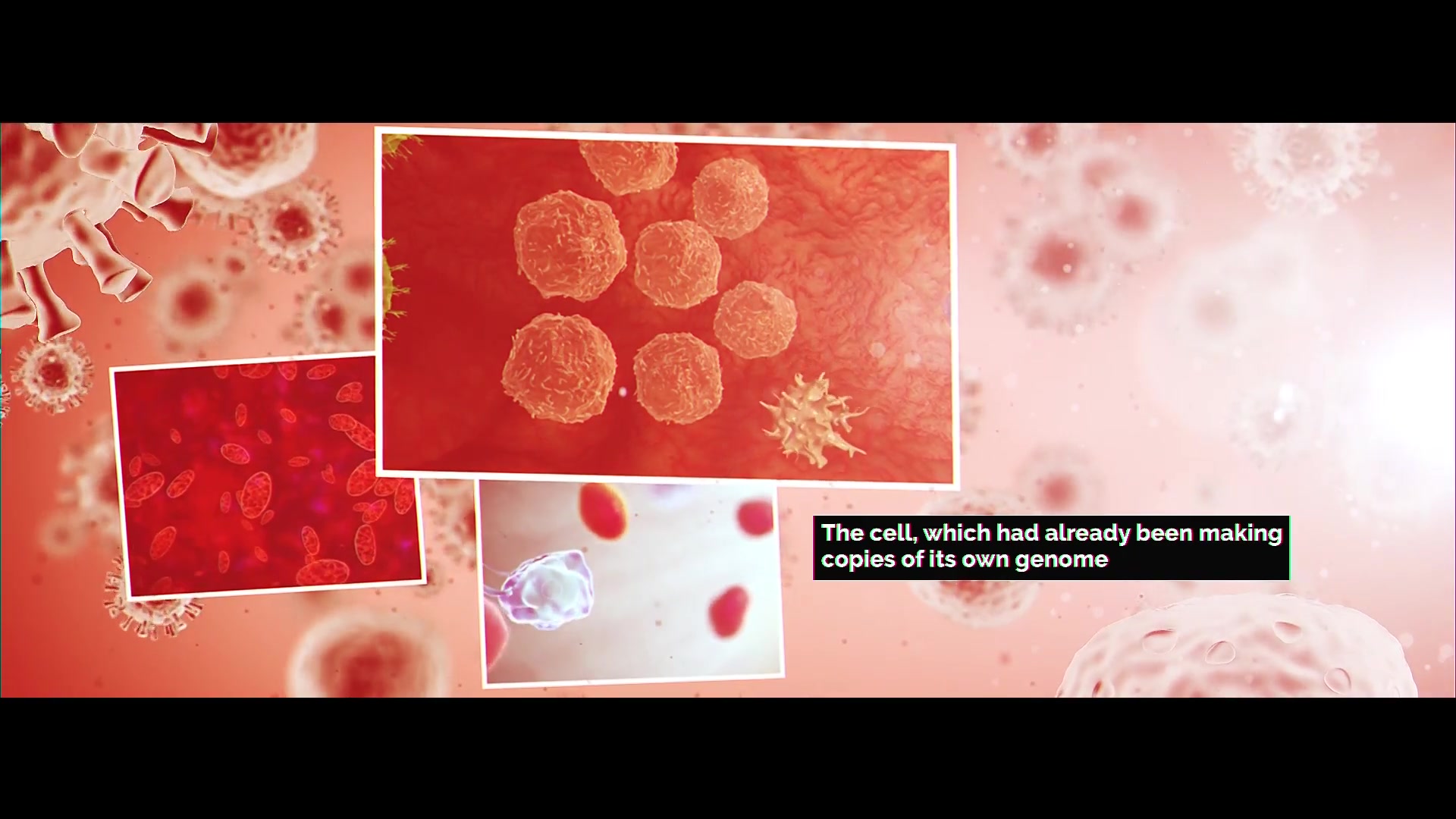 The Virus Videohive 25758979 After Effects Image 11