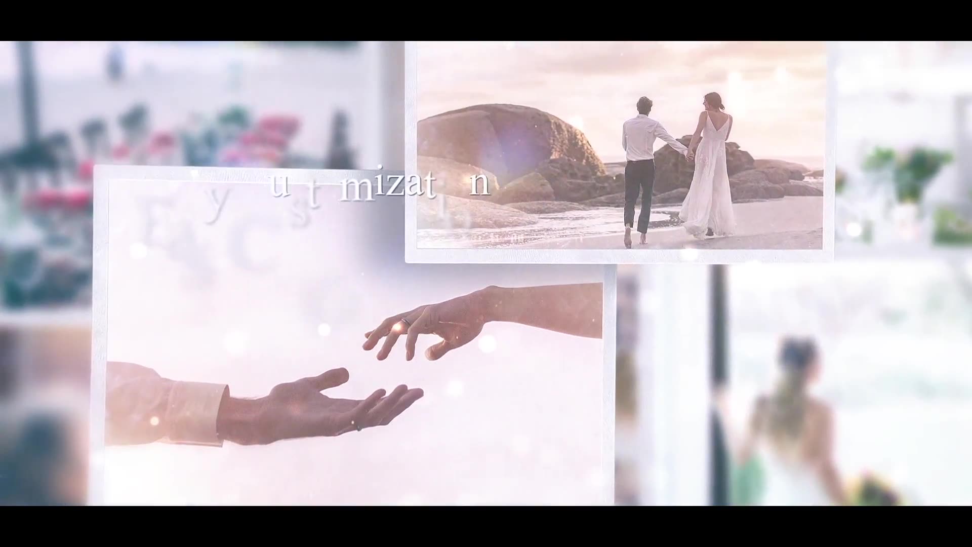 The Wedding Videohive 35066748 After Effects Image 3