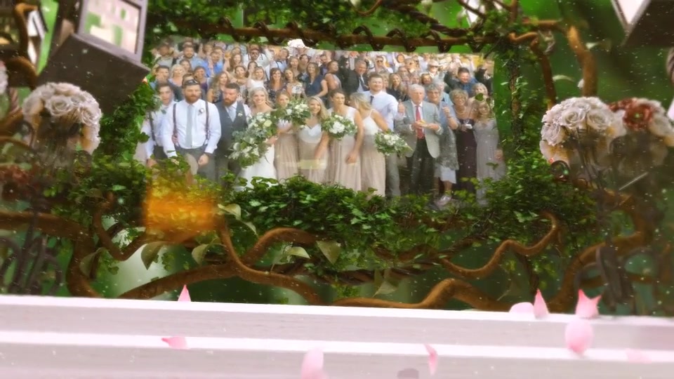 The Wedding Videohive 21813390 After Effects Image 7