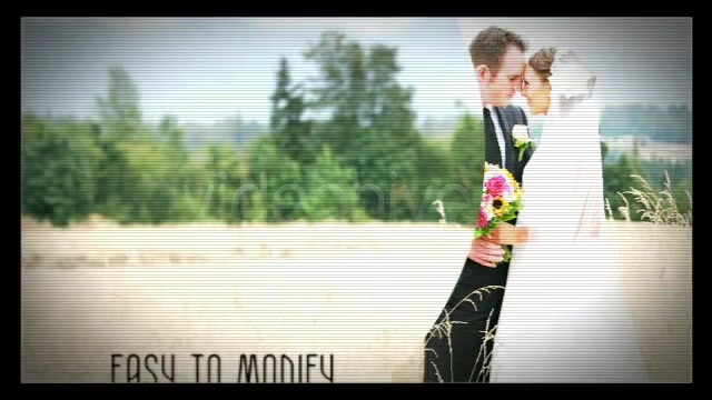 The Wedding - Download Videohive 2852076