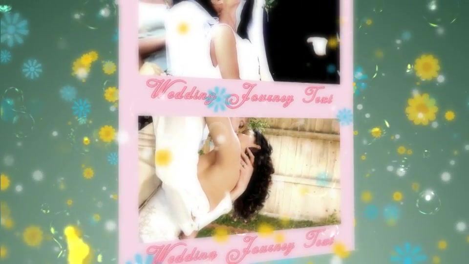 The Wedding Journey - Download Videohive 2093024