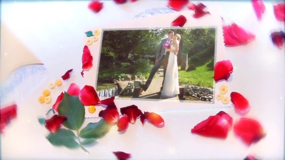 The Wedding Roses - Download Videohive 5580414