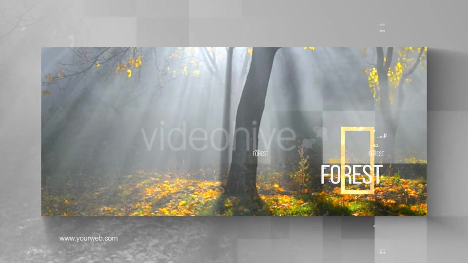 The Wild Nature Videohive 24645778 After Effects Image 10