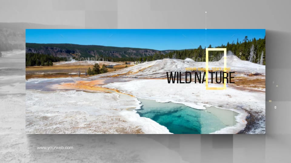 The Wild Nature Videohive 24645778 After Effects Image 7