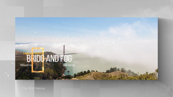 The Wild Nature - 24645778 Videohive Download