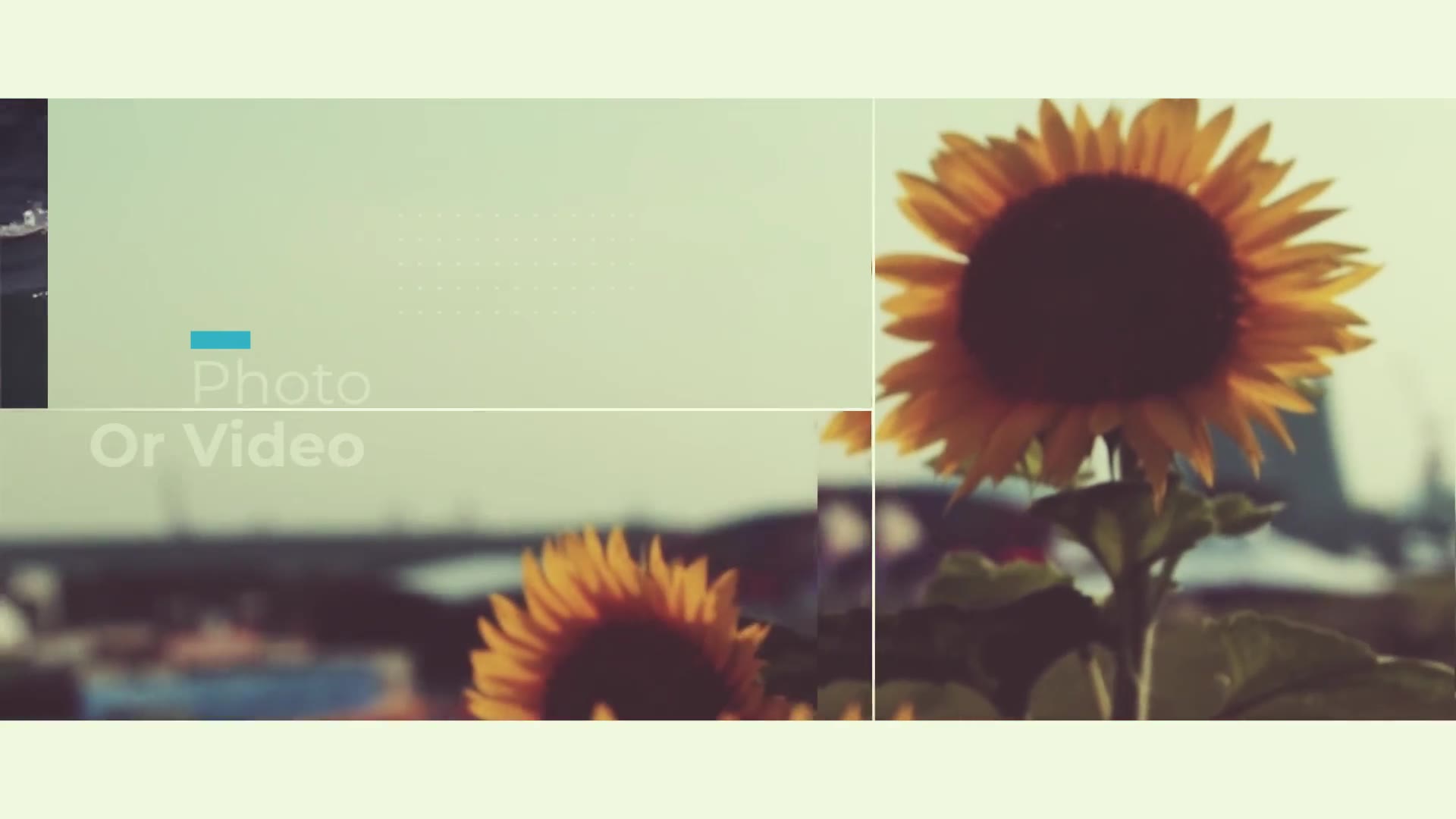 This is a Slideshow Videohive 23373820 Premiere Pro Image 8