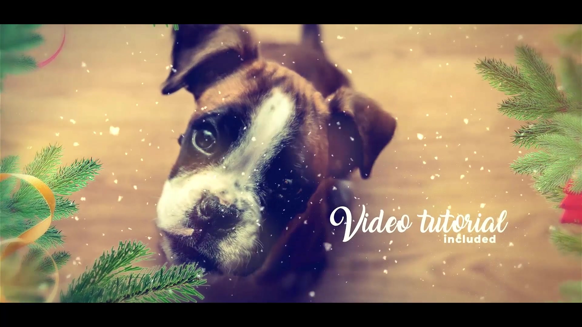 This is Christmas Slideshow Videohive 22841338 Premiere Pro Image 5