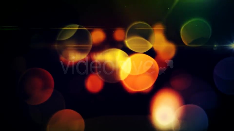 Thorns and Roses Videohive 2844609 After Effects Image 4