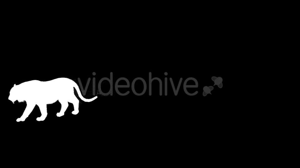 Tiger Silhouettes 9 Pack - Download Videohive 21223410