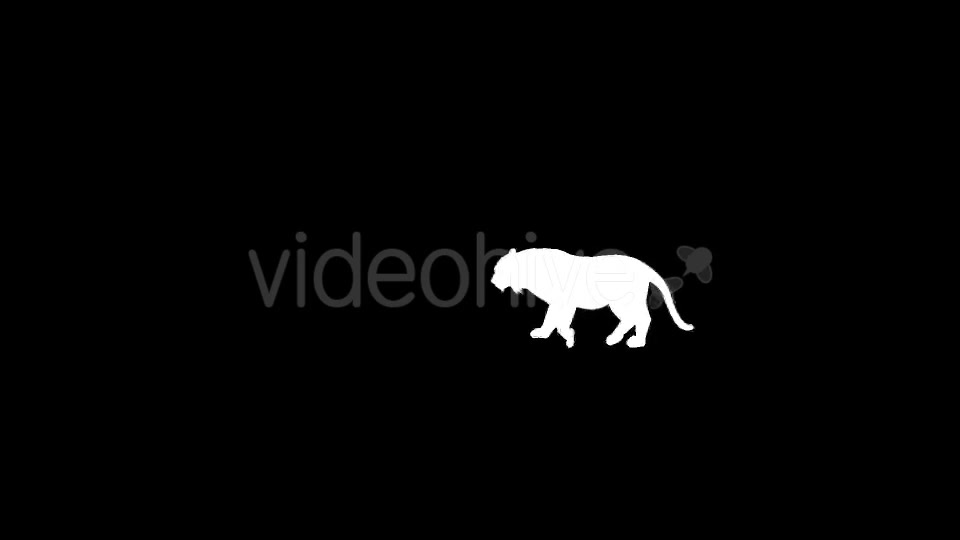 Tiger Silhouettes 9 Pack - Download Videohive 21223410