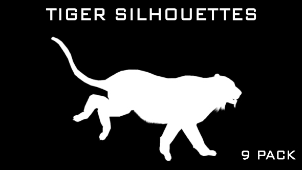Tiger Silhouettes 9 Pack - Download Videohive 21223410