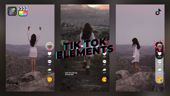 TikTok Elements - Videohive Download 33123735