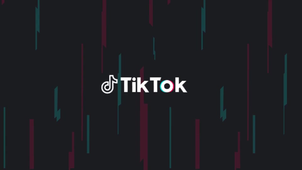 TikTok Promo Videohive 26157241 After Effects Image 9