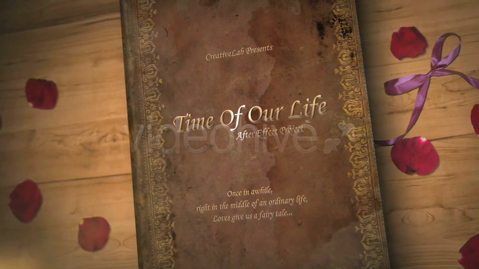 Time Of Our Life - Download Videohive 2425132