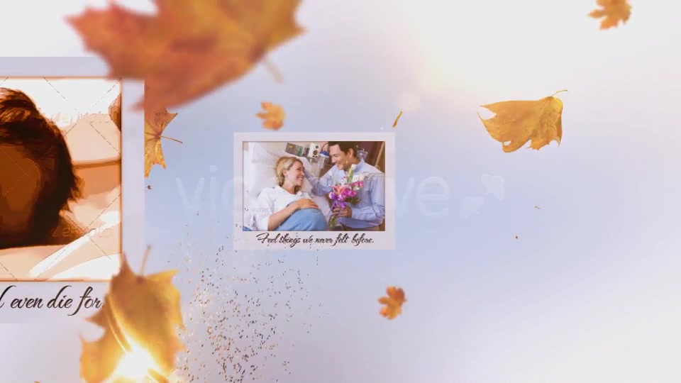 Timeless Memories - Download Videohive 3829010