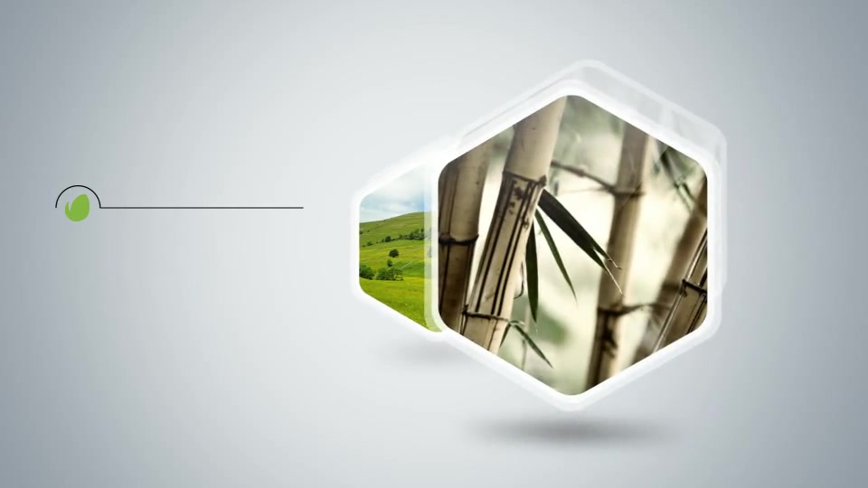 Timeline and Display Videohive 11253246 After Effects Image 9