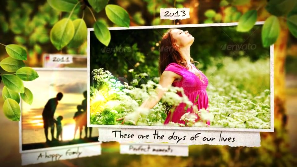 Timeline Of Our Lives Videohive 5219140 After Effects Image 12