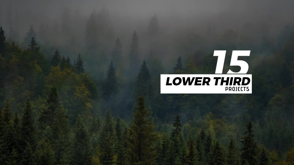 Title Lower Third 3 Videohive 17042988 After Effects Image 5
