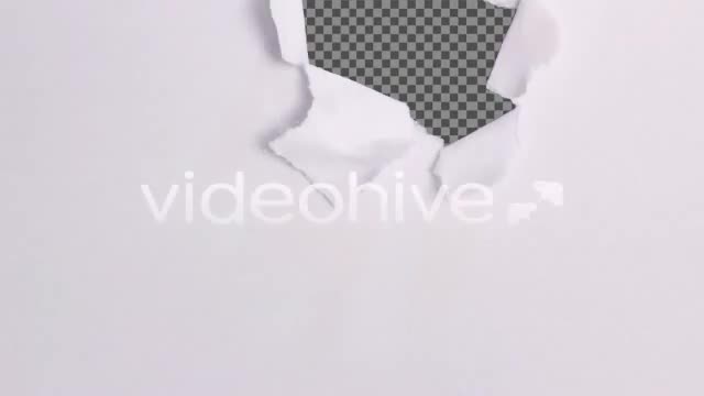 Torn Paper Videohive 732645 Motion Graphics Image 1