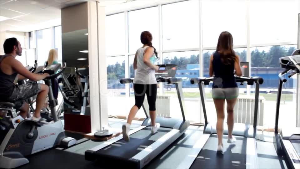 Training in a Gym  Videohive 9771170 Stock Footage Image 1