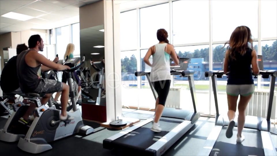 Training in a Gym  Videohive 9771170 Stock Footage Image 9
