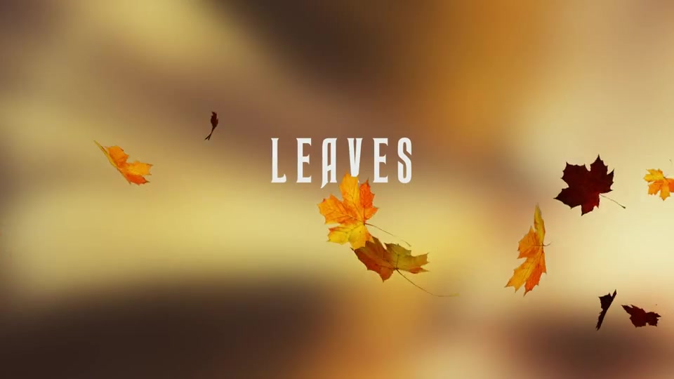 Transition Organic Videohive 7786355 After Effects Image 4