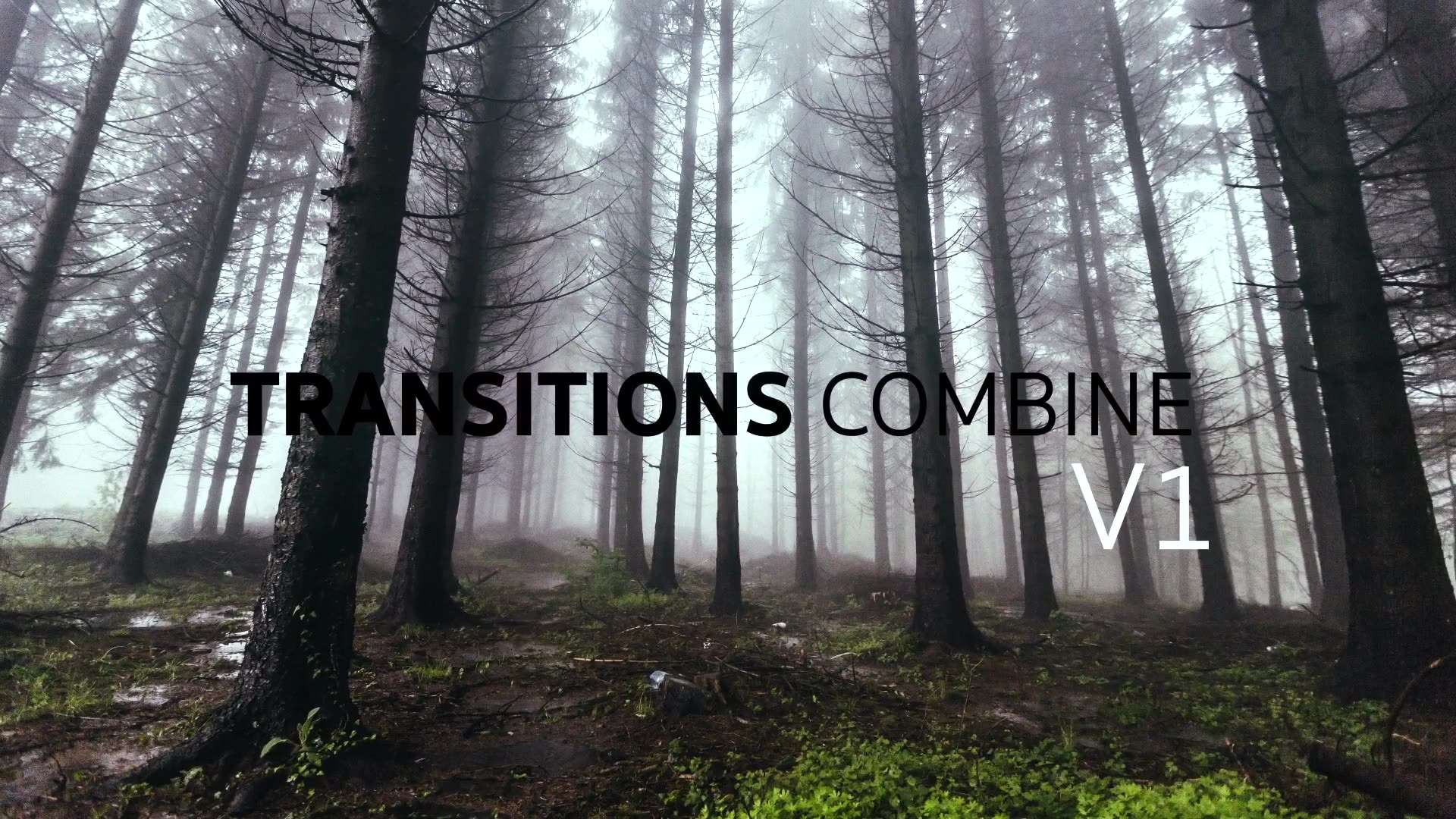 Transitions Combine | Pack & Toolkit - Download Videohive 19483509