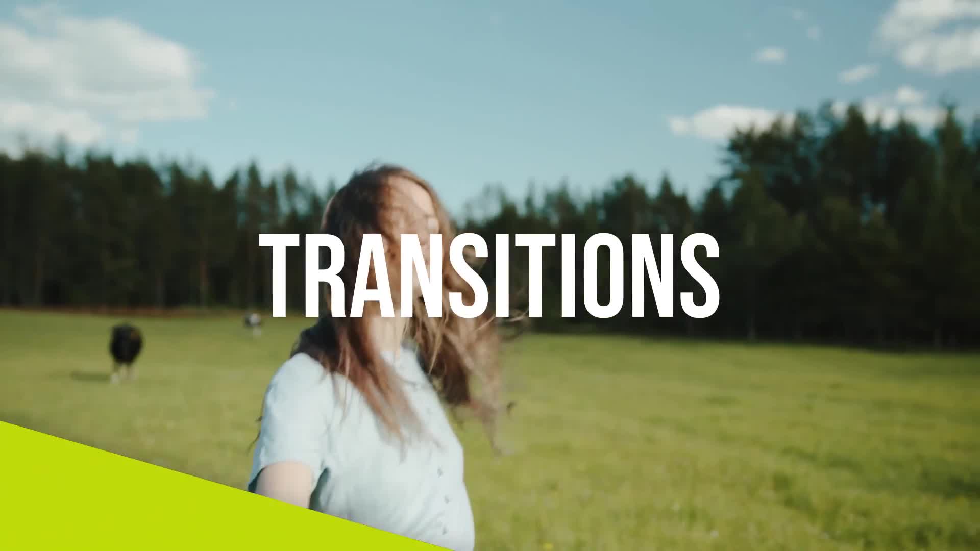 Transitions Pack Videohive 38222854 After Effects Image 1