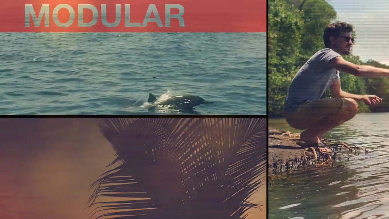 Travel Opener Videohive 11408514 After Effects Image 11