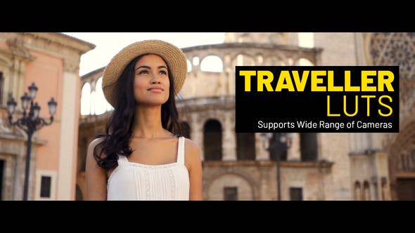 Traveller LUTs - 38403425 Videohive Download