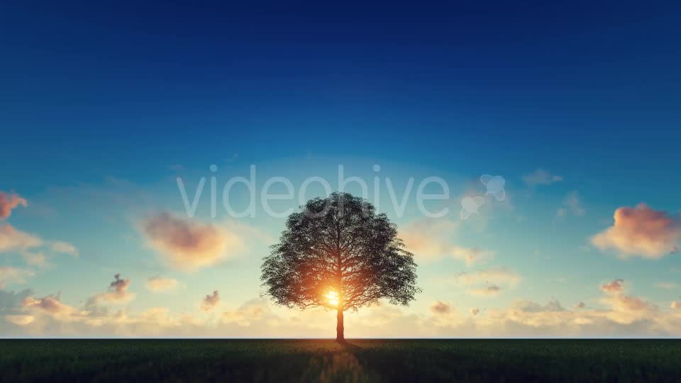 Tree and Nature - Download Videohive 20191268